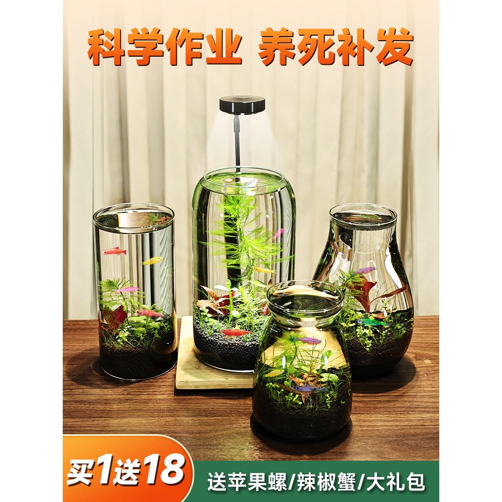 带LED灯迷你水族箱创意diy生态瓶鱼微景观办公桌面小型玻璃鱼缸