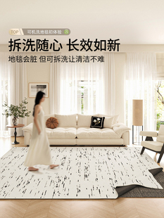 AOVOC 可拆洗法式地毯客厅意式极简可机洗沙发卧室床边毯轻奢高级