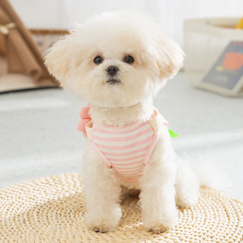 春夏季狗狗公主风条纹牛仔牵引背心连衣裙猫咪两脚裙子宠物狗衣服