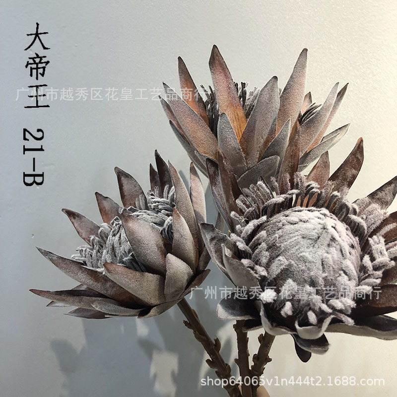仿真干枯帝王花 植毛欧式普罗霸王花 假花摆件样板房摄影道具软装