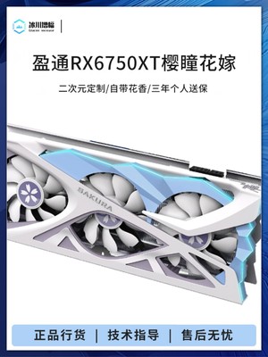 AMD盈通RX7600/6650XT/6750XT/6800 7700 7800XT樱瞳花嫁独立显卡