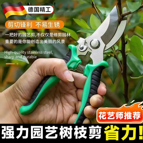 修枝剪不锈钢园艺剪刀省力家用花艺盆栽树枝专用果树摘果剪工具剪