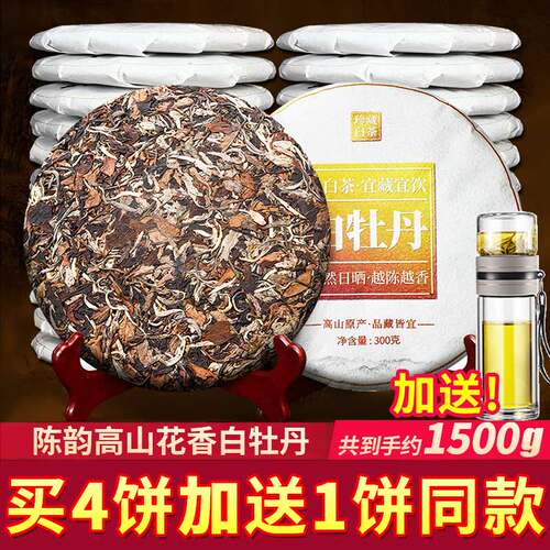 2010枣香白牡丹5饼1500克