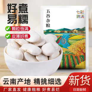 白芸豆干货云南小白豆白云豆新货小雪豆扁豆新鲜豆子腰豆尝鲜