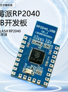 RP2040 USB开发板Type-A版 4MB Flash树莓派微控制器开发板