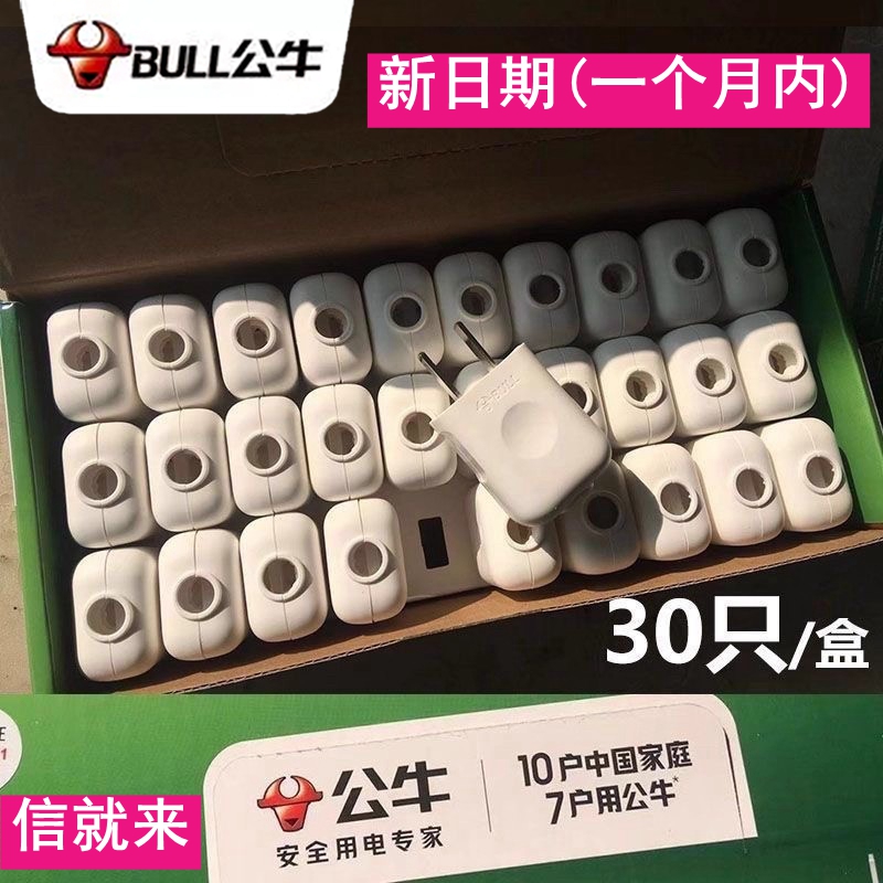 30只1盒两脚插头10A电线