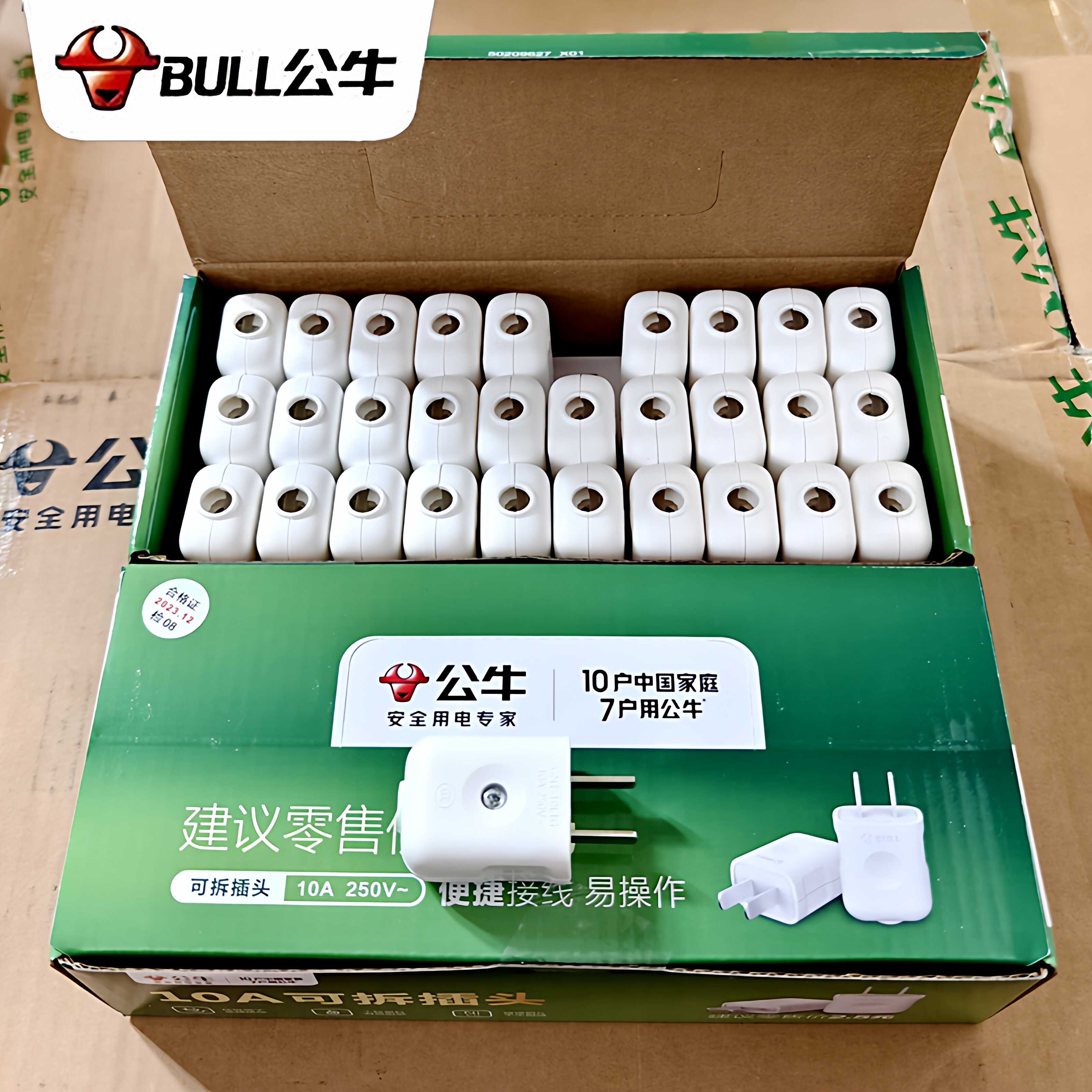 10A插头电线二头两脚接线