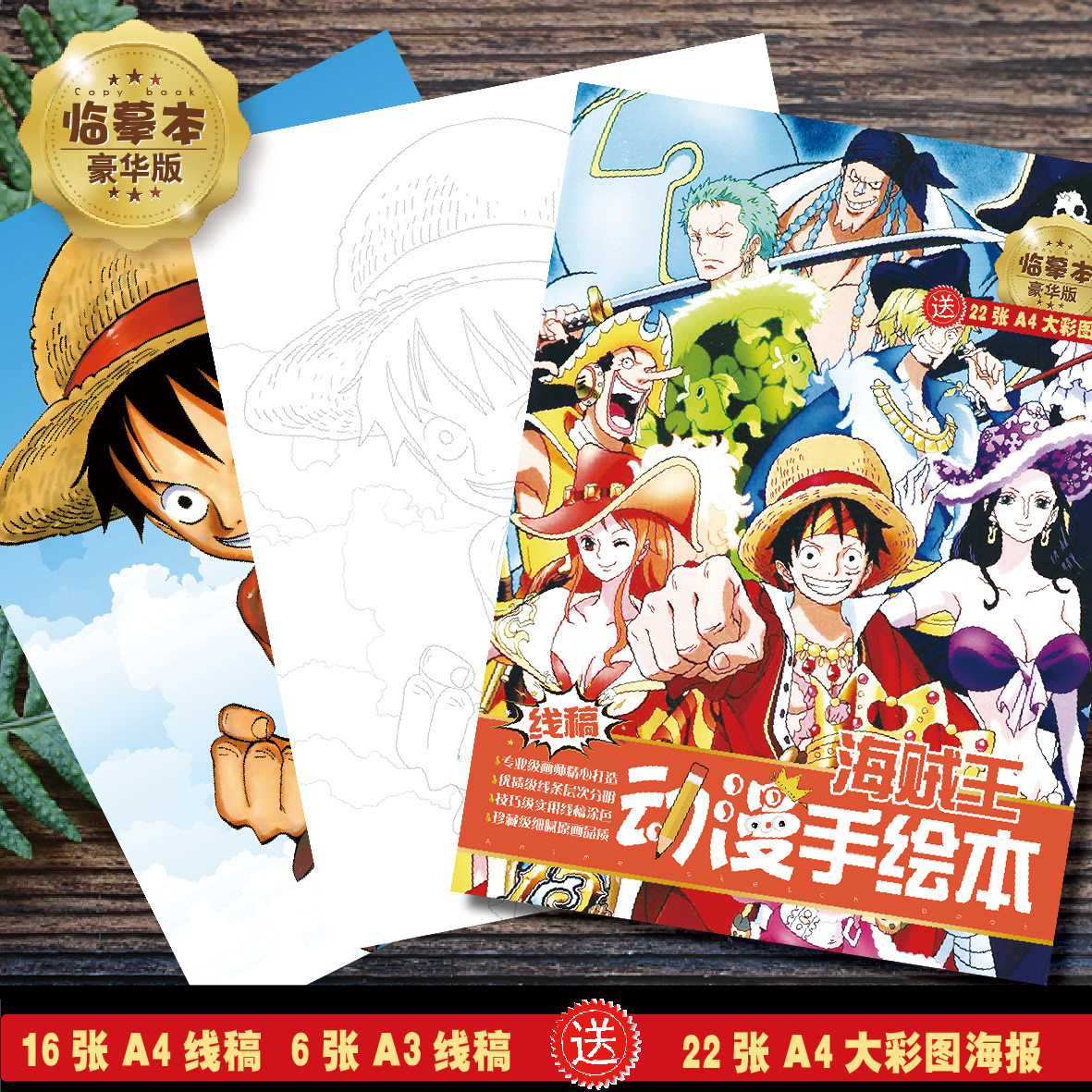 海贼王路飞索隆山治娜美罗宾乔巴动漫周边手绘团体照片单人插画