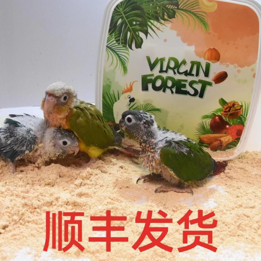 小太阳黄边凤梨肉桂蓝化和尚标识小鸟类专用混合粮雏鸟蛋小米奶粉