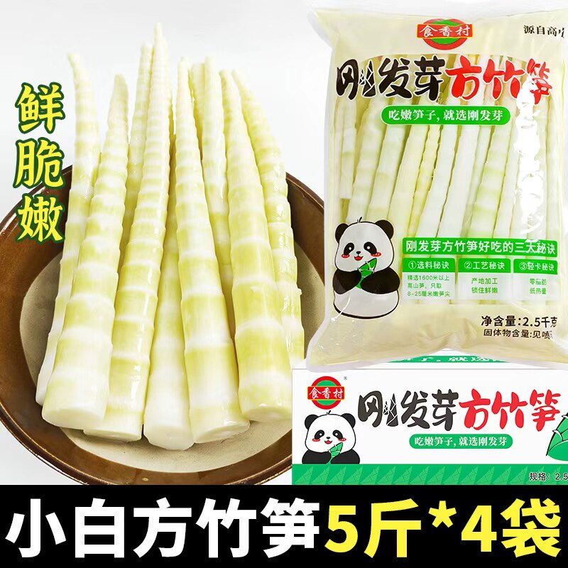 四川方竹笋新鲜春笋清水笋罗汉笋小竹笋尖野山笋串串笋火锅笋商用