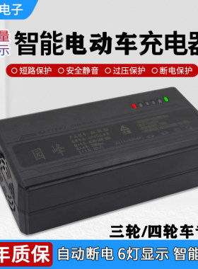 三轮车大功率天能超威电池充电器