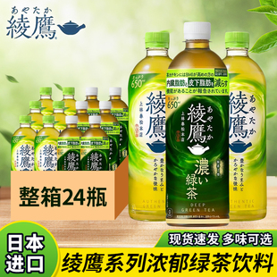 日本原装进口可口可乐绫鹰浓郁绿茶饮料无糖茶宇治抹茶650ml瓶装