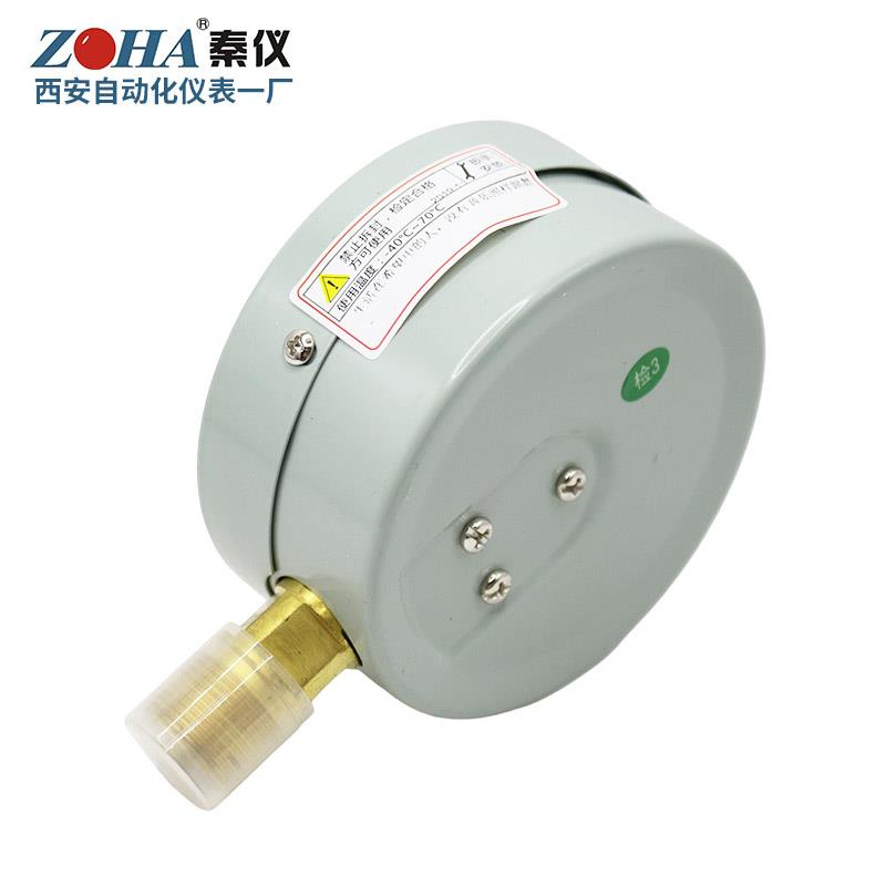 Y100CO2二氧化碳压力表1.