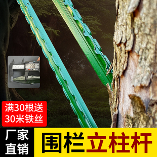 围栏立柱杆铁丝网花边实心Y型尖头钢管支撑杆爬藤架三角铁菜园1.5