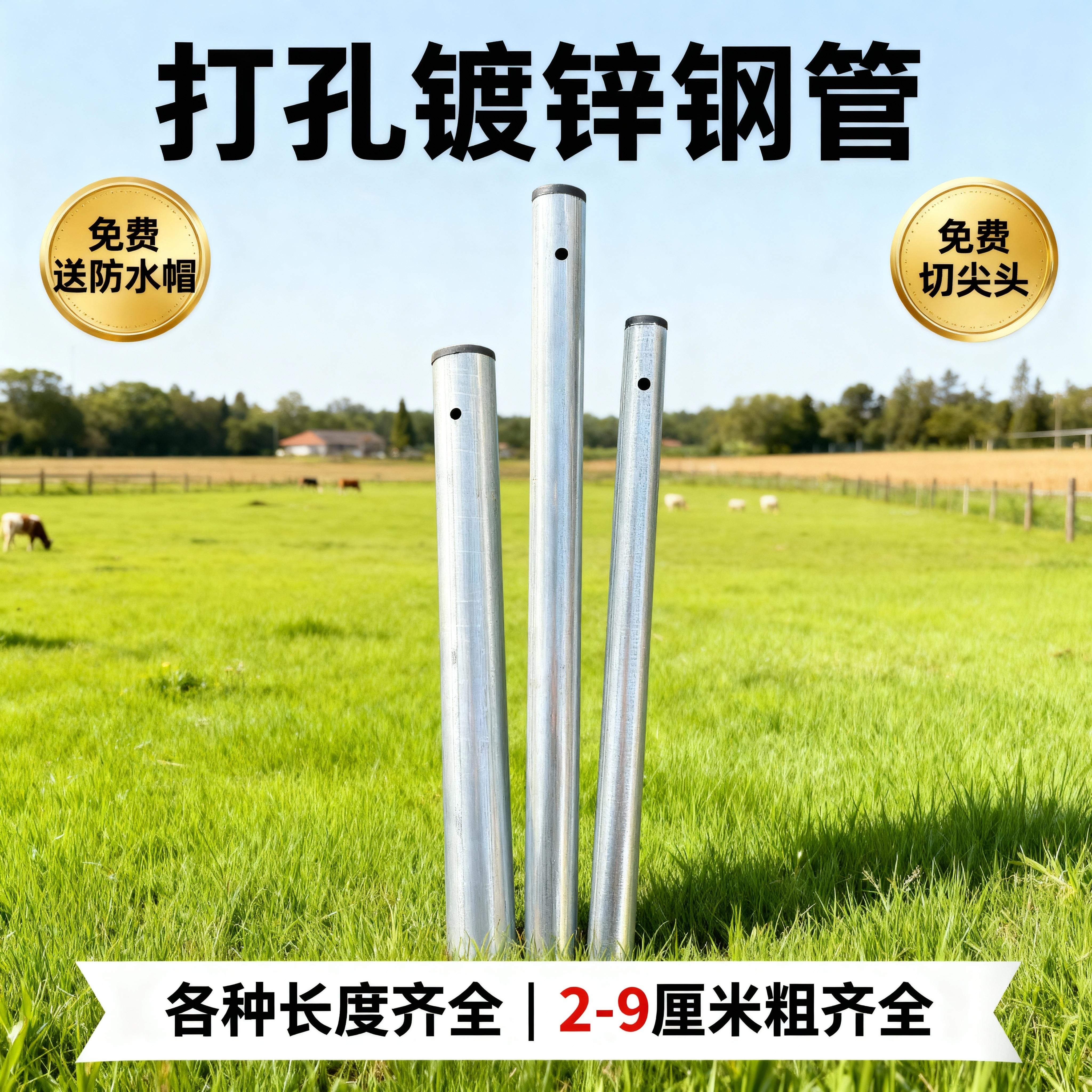 镀锌钢管方管围栏立柱杆角铁立柱围栏网塑料网菜园爬藤架尖头加厚