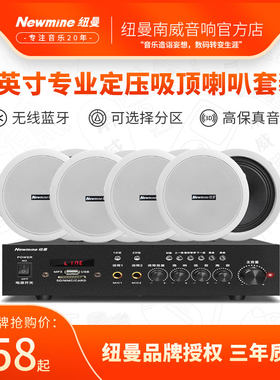Newmine/纽曼6吸顶喇叭功放