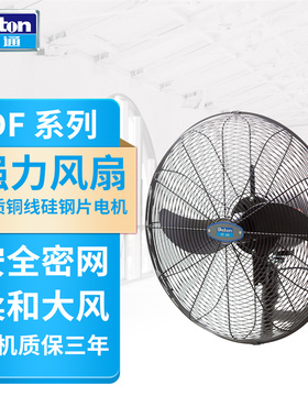 Deton德通工业强力电风扇壁挂扇挂墙式单速大风力牛角扇SF750-4