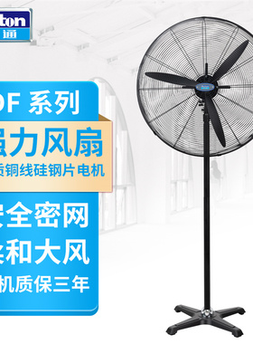 德通强力电风扇单速落地式工业风扇大功率可摇头牛角扇DF650-4