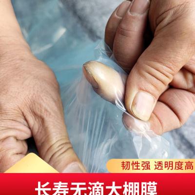 厂销加厚塑料膜农业蓝色无滴膜遮盖膜PE塑料薄膜农膜保温大棚膜品