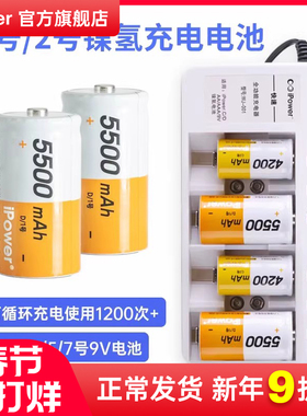 iPower1号充电电池燃气灶热水器通用一号二号可usb充电2号大容量D型天然气镍氢电池可替1.5V锂电池