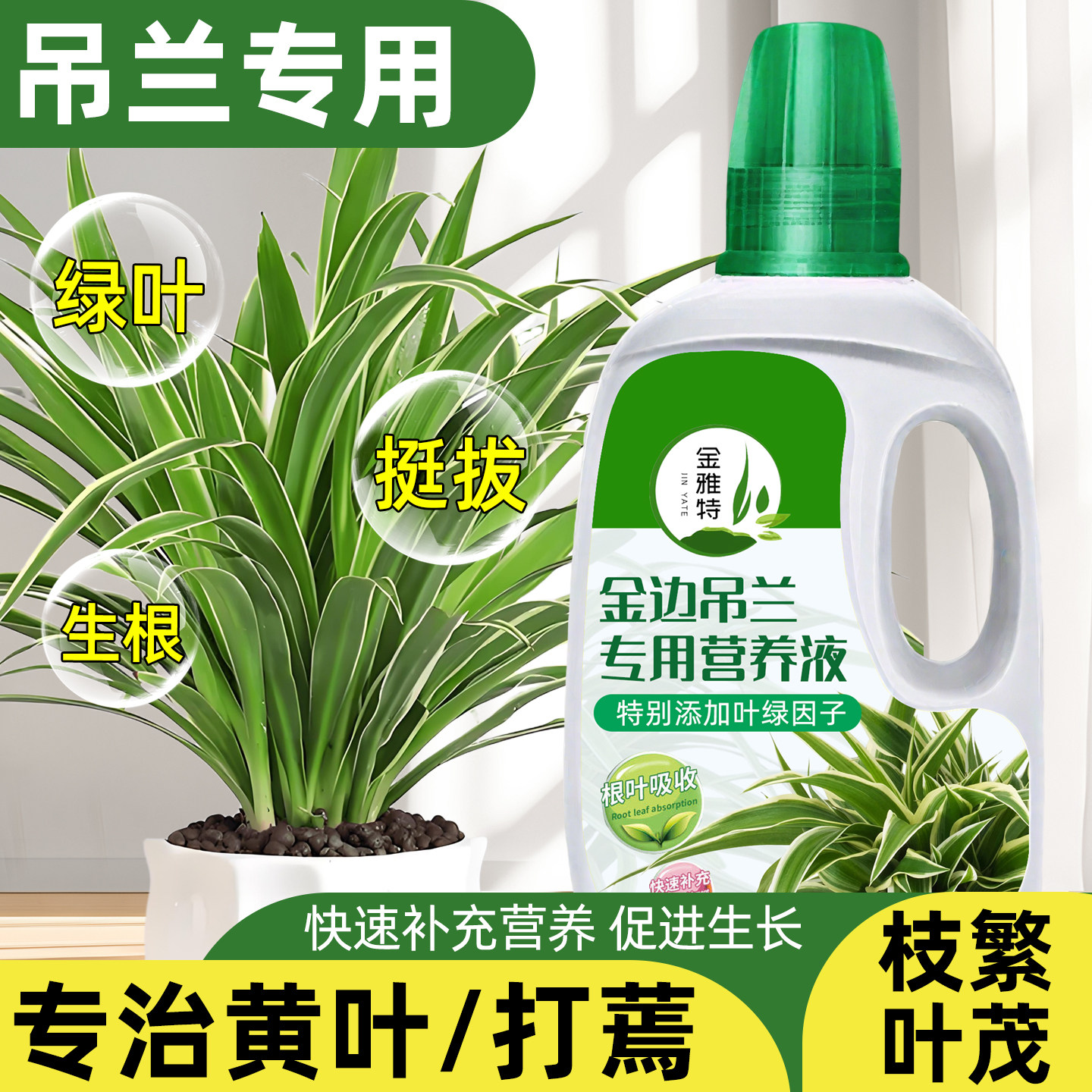 金边吊兰专用营养液花肥水培金鱼吊兰专用肥料黄叶焦尖液体水溶肥