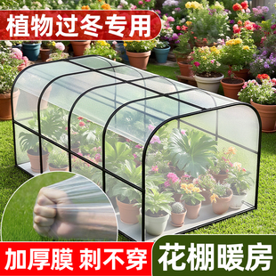 家用温室花房室外阳台花棚暖房保温多肉花卉盆栽植物园艺防虫遮雨
