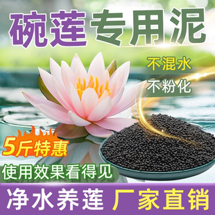 碗莲专用泥睡莲土水草泥高肥力不臭水浑水荷塘泥水培铜钱草陶粒泥