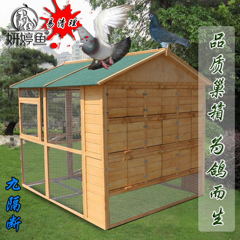 户外鸽子笼鸽舍屋棚鸟笼肉鸽赛鸽配对实木防雨防腐防晒养繁殖鸽窝