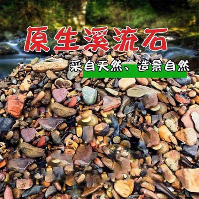 乌龟缸造景铺底石原生鱼缸底砂溪流沙雷龙鱼水草南美缸装饰沙河石