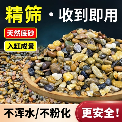 乌龟缸造景铺底石原生溪流石鱼缸专用天然大块底砂石头装饰南美缸