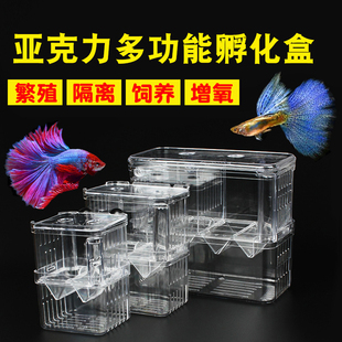 斑马鱼缸隔离盒孔雀鱼繁殖盒孵化斗鱼杯热带鱼小鱼幼鱼特大号箱产