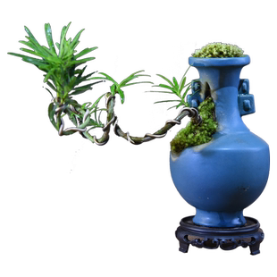 造型飘枝罗汉松盆栽飘枝中式复古室内绿植桌面盆景办公茶室送礼品