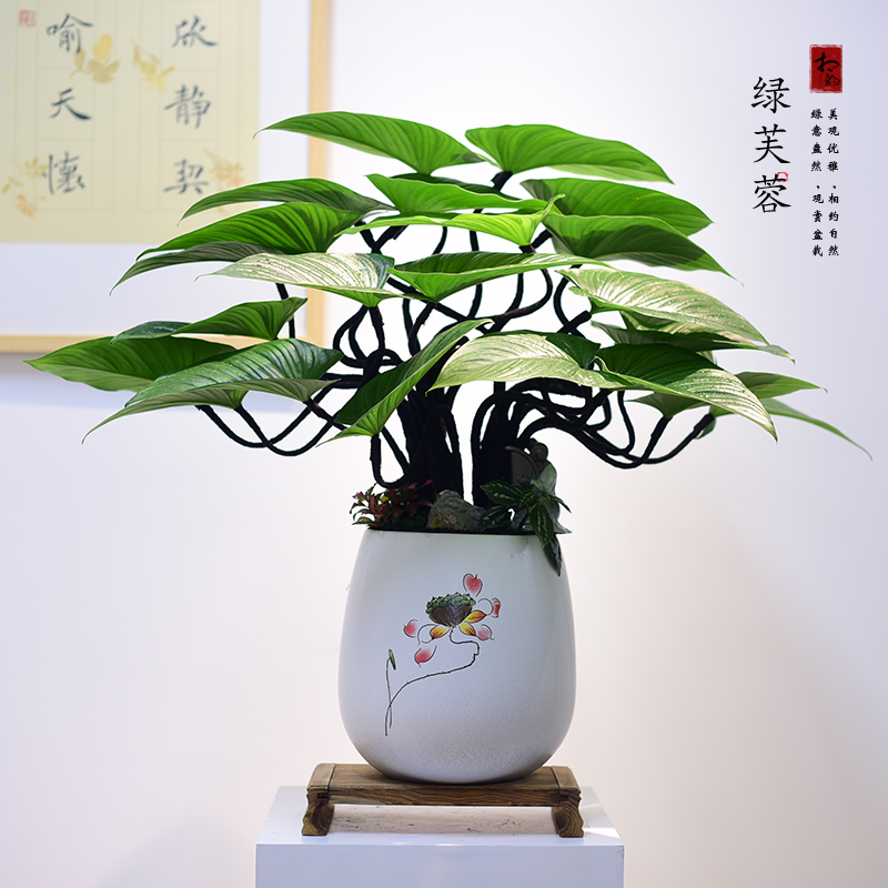绿芙蓉书房客厅办公室接待前台