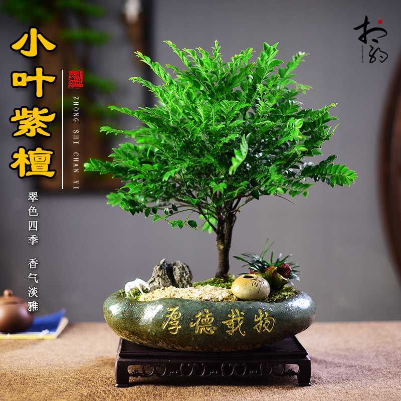 紫檀黑骨茶客厅办公室书房茶桌