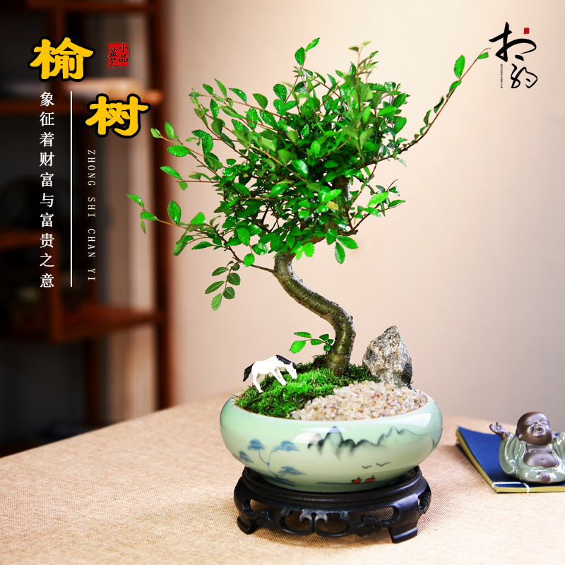 榆树办公桌书房客厅茶几桌面