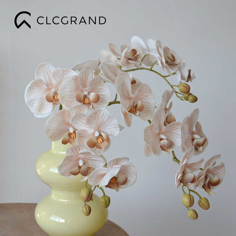 高级感蝴蝶兰仿真花客厅假花装饰摆件轻奢高品质餐厅花艺高端花束