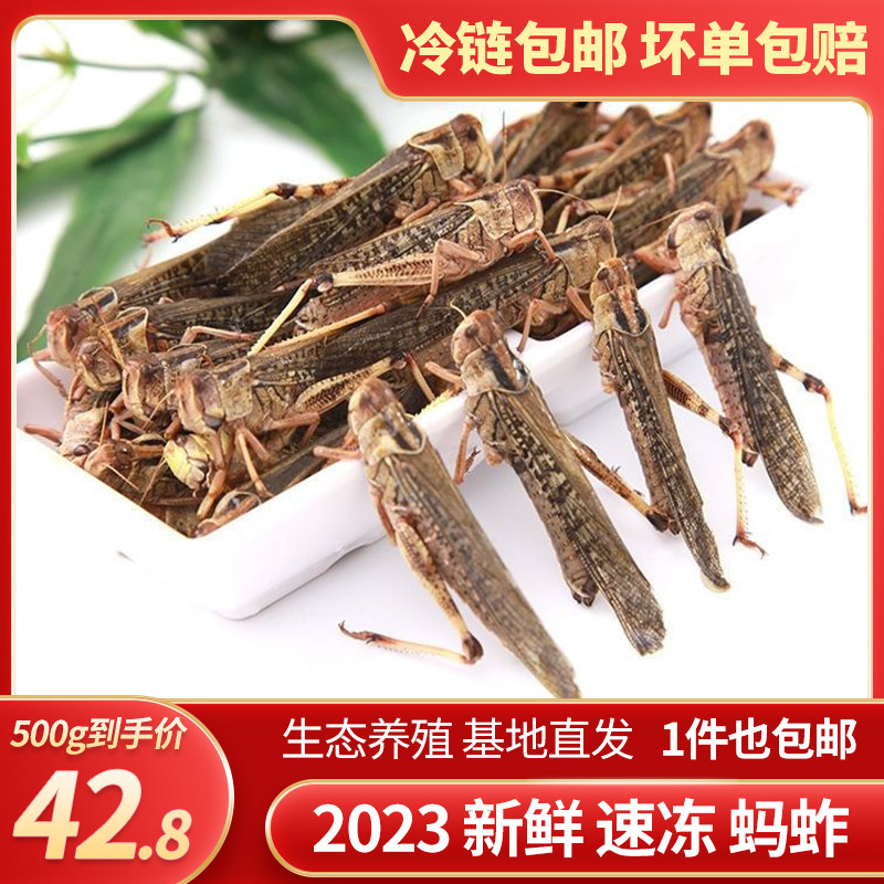 糖水亚答子罐头泰国进口水妈妈牌亚达子620g亚答积棕榈果甜品原料_虎窝淘