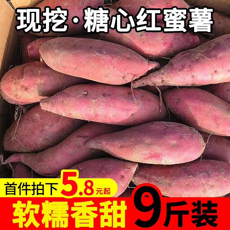 新鲜红心红薯蜜薯板栗薯沙地小红薯9斤农家自种糖心大番薯地瓜10