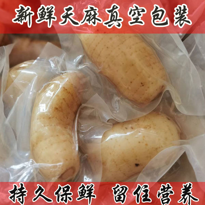 新鲜天麻真空独立包装免洗天麻湿天麻煲汤食材泡酒中药材正品保证