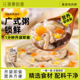 香菇鸡肉粥0脂肪早餐粥学生宿舍上班族懒人方便速食品代餐鲜滚粥