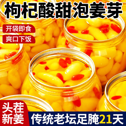 淄博枸杞泡姜芽新鲜嫩姜芽酸甜下饭菜仔姜糖醋生姜姜片腌制泡菜