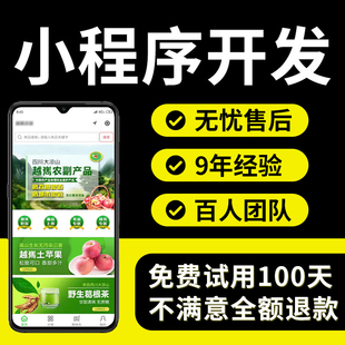 微信小程序开发定制作软件开发app计算机网站应用设计商城系统