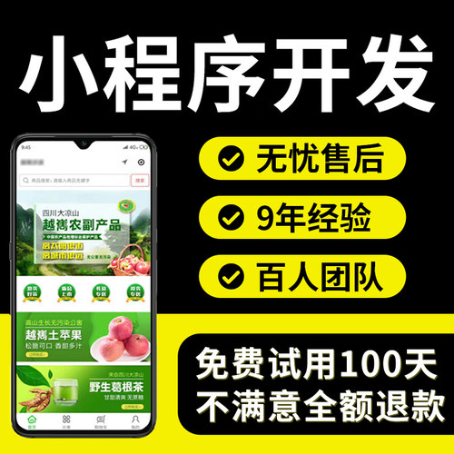 微信小程序开发定制作软件开发app计算机网站应用设计商城系统