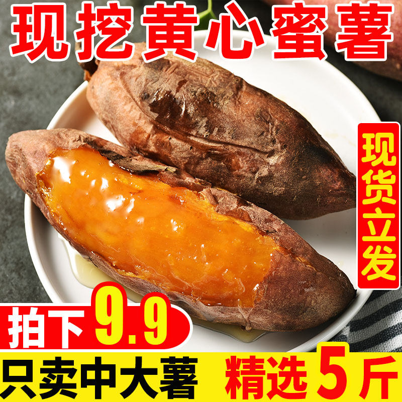 现挖新鲜沙地黄心红薯5斤农家自种板栗小香番薯糖心甜蜜薯烤地瓜