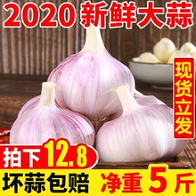 【百香脆】紫皮大蒜5斤