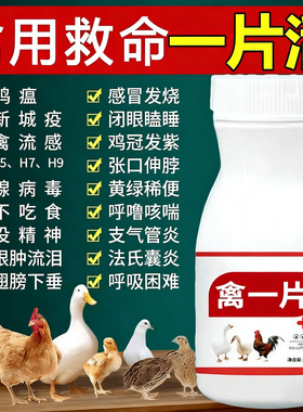 禽一片养鸡专用药鸡病全治救命药家禽感冒鸡瘟发烧呼噜流感鸡鸭鹅
