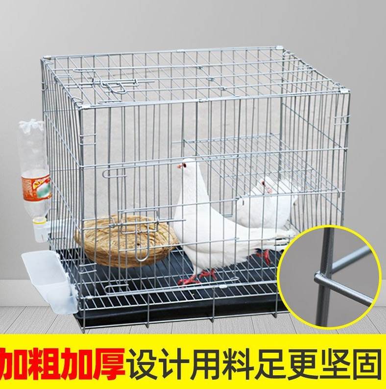 芦丁鸡专用笼养鸡笼家用饲养箱鸡舍室外养殖笼鸽子鹌鹑养殖笼大号