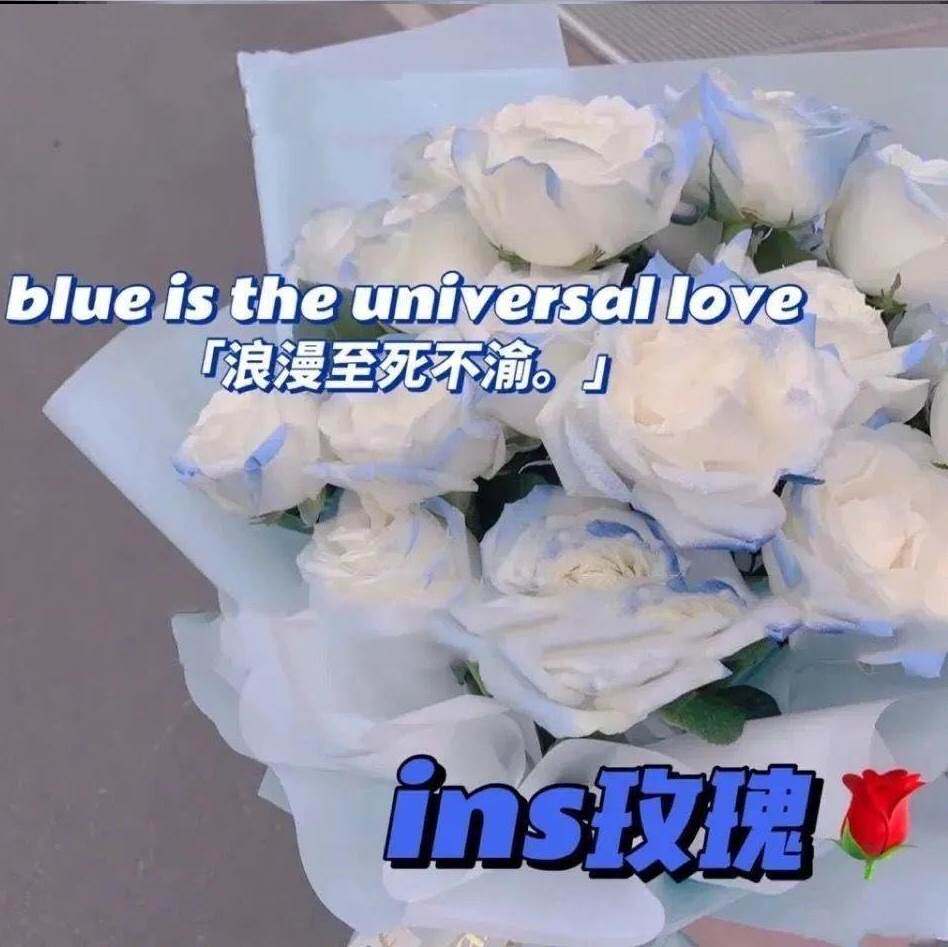 密西根碎冰蓝渐变玫瑰花ins风仿真假花朵手捧花束少女心装饰摆件l