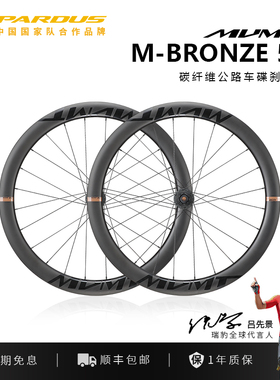 PARDUS瑞豹MVMT碳纤维轮组公路自行车公路车碟刹中锁筒轴