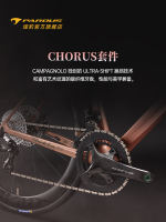 PARDUS ROBIN RS-CHORUS Campagnolo Co-branded Honor Pink Road Bike thumbnail 6
